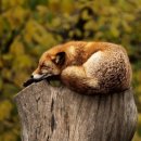 예술로2L 이미지