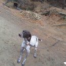 산막골 농장 | 여주전문농장(두루농원의 겨울나기 ^^