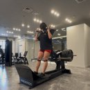 러닝 무릎보호대추천 :밀림 없는 착용감 후기