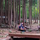 성주산자연휴양림 이미지