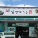 해물밭에 노는 닭 이미지