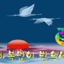 2011년 새해 복 많이 받으십시오 이미지