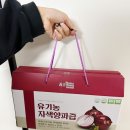 양파즙의 효능부터 부작용 보관방법까지