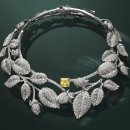 옐로우헤어클럽 이미지