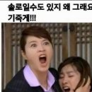 바니헤어 이미지