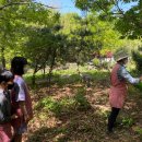 입면초등학교 이미지