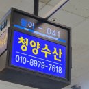 용이네수산 | 노량진 수산시장 방어 회식 후기, 가리비·석화·상차림 비용🐟