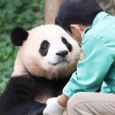 (주)바오