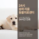 수서동물병원 이미지