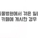 오늘동물병원 이미지