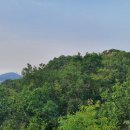 2021-주165 이미지