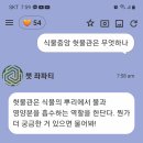 어제는몇수장미접목하면서. 중앙부위솜부위에꼿아주었 어요?좋은방법인가요 이미지