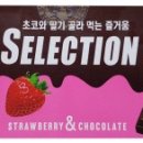 셀렉션 티스토리