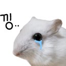 만장하우스 이미지