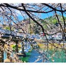 부산세기보청기 이미지