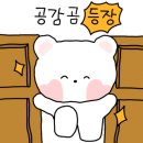 덕수상사 네이버블로그