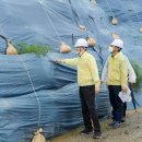 순천-11호 이미지