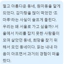 행정용 36번 | 우아맘 6기) 양귀자 <원미동 사람들>, 멀고 아름다운 동네