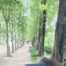 서울사우나구내 Daum카페