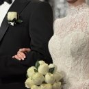 멜로우월드 이미지