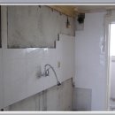 한라동백@ 이미지