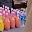 ICHEON95 | 2024 이천 산수유축제 첫날 후기 | 주차, 개화 상황 등