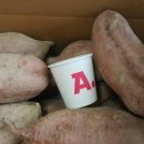 임성규농장 이미지