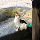 새로이펜션민박 이미지