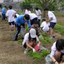 광문중학교 이미지