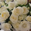 드라이21 | 다이소 실리카겔로 셀프 드라이플라워 도전 - 흰장미꽃 말리기