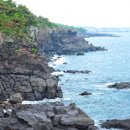 꿈꾸는 제주 이미지