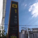 부산대학교 이미지