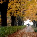 유스호텔 진입로 ~ 유스호텔 이미지