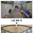 노점25 경향신문