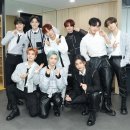 스테이재재 이미지