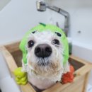 뚱이미용실