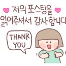 디지스도그 이미지