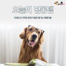 멍뭉펫 이미지