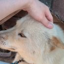 황토흙펜션 꿈의대화 이미지