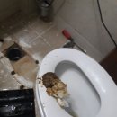 구암동181 이미지