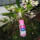 동부농약사 이미지