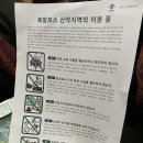 스시카츠라 | [나고야 5박 6일 자유 가족 여행] Day 2 가미코치 1일 버스 투어ㅣ나고야역 JR 타워 스시카츠라