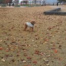 메디컬허브 이미지