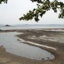 나문재관광농원 이미지