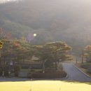 블루원용인CC 이미지