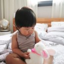 순양축산 네이버블로그