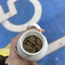 유리움한의원 | 생리중 어지러움 생리전후 빈혈 극복 후기