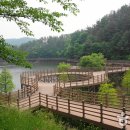 자연공원 이미지