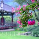재단법인 온누리선교재단 | 선교총림선림원 선교 교화선(敎化禪) 대중포덕과 백일안거 새벽신성기도 정진 73齊