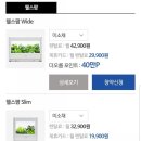 포인트렌탈